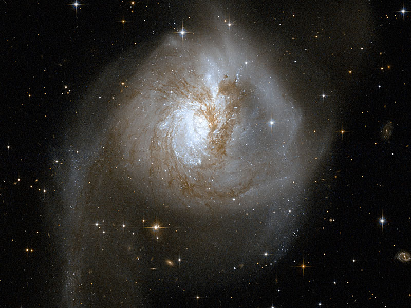 Das Bild zeigt eine Galaxie von oben, die offenbar nach einer Kollision ziemlich verzerrt wirkt, vor der Scheibe verlaufen dunkle Staubbahnen, die Spiralarme sehen milchig aus, links verläuft ein langer Gezeitenschweif nach unten.