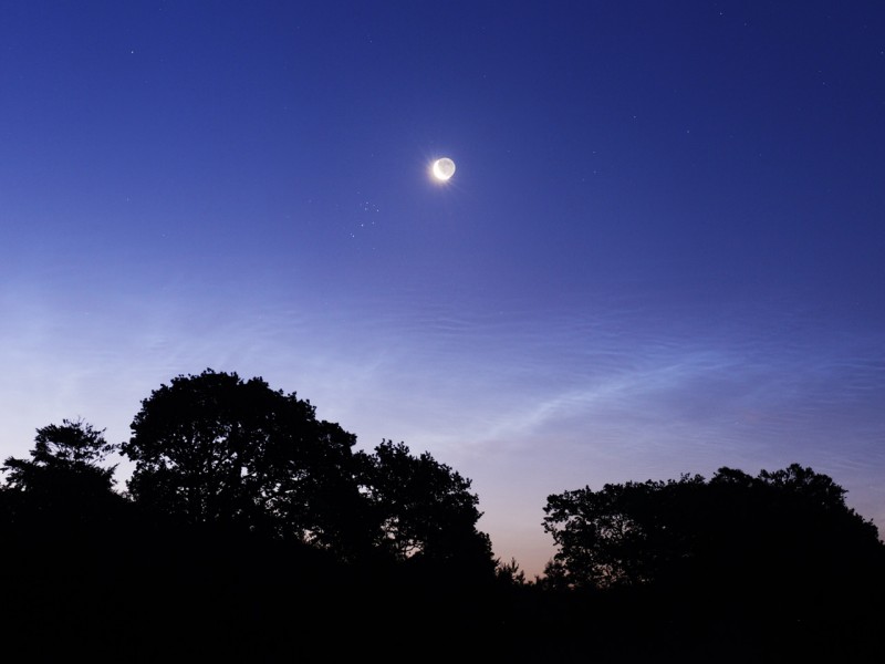 Über einem dunklen Laubwald leuchtet der abnehmende Sichelmond vor Sonnenaufgang am dunkelblauen Morgenhimmel.