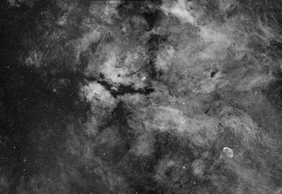 Das Schwarzweißbild ist von vielen faserartigen Wolken im Sternbild Schwan bedeckt.