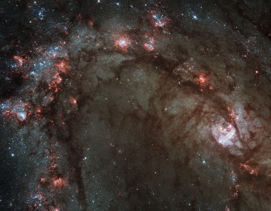 Das Bild zeigt einen Ausschnitt einer Galaxie mit Sternfeldern, die durch Dunkelnebel getrennt sind, und rot leuchtenden Sternentstehungsgebieten.