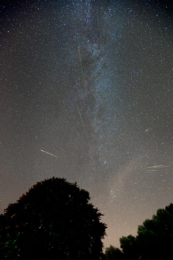 Über den Silhouetten von Bäumen steigt die Milchstraße auf. Im Bild sind Spuren von Meteoren verteilt, die von einem Punkt im Perseus ausströmen.