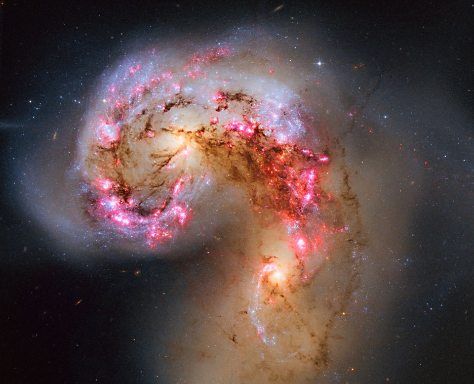 Wie ein Tentakel windet sich eine Galaxie von unten ins Bild, sie ist voller rötlicher Sternbildungsregionen, Staubwolken und blauer Sternhaufen.