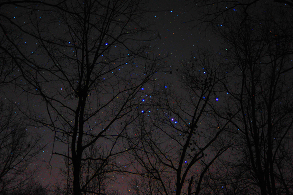 Siehe Beschreibung. Das Sternbild Orion, durch die Äste eines Baums hindurch sichtbar; Ein Klick auf das Bild lädt die höchstaufgelöste verfügbare Version.