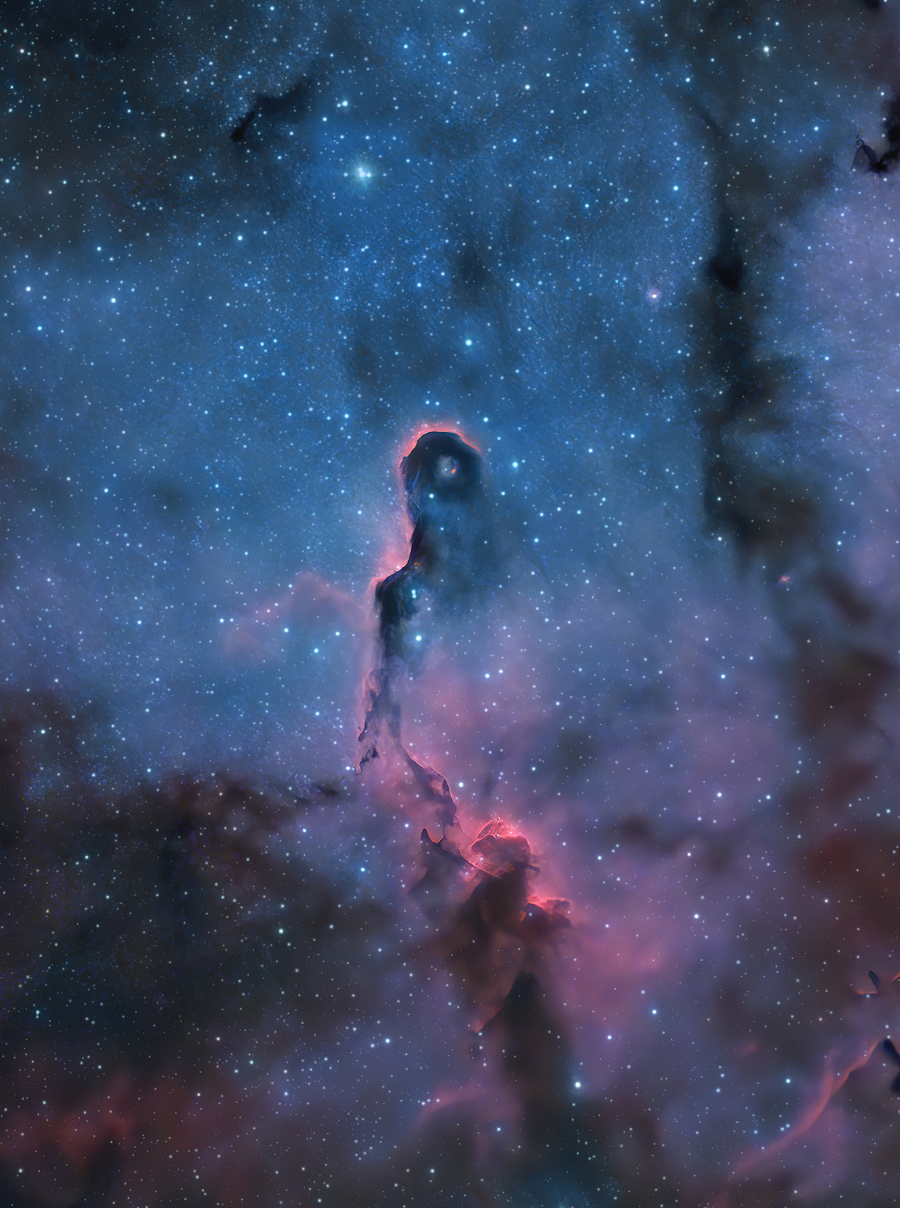 Der 20 Lichtjahre lange Elefantenrüsselnebel ist auch als vdB 142 bekannt und liegt im Sternhaufenkomplex IC 1396.