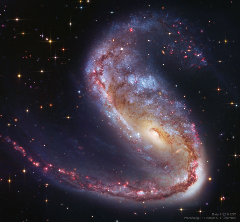 Die verzerrte Galaxie NGC 2442 befindet sich im südlichen Sternbild Fliegender Fisch - (Piscis) Volans.