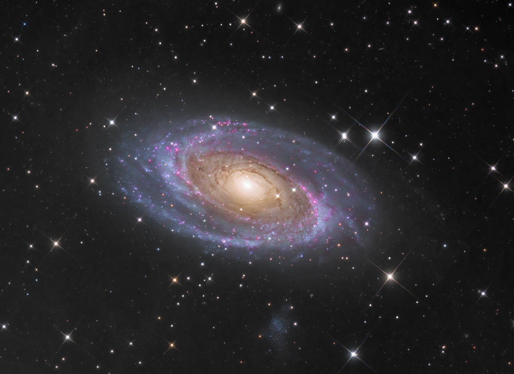 Die Spiralgalaxie M81 in Ursa Major ist auch als NGC 3031 oder Bodes Galaxie bekannt.