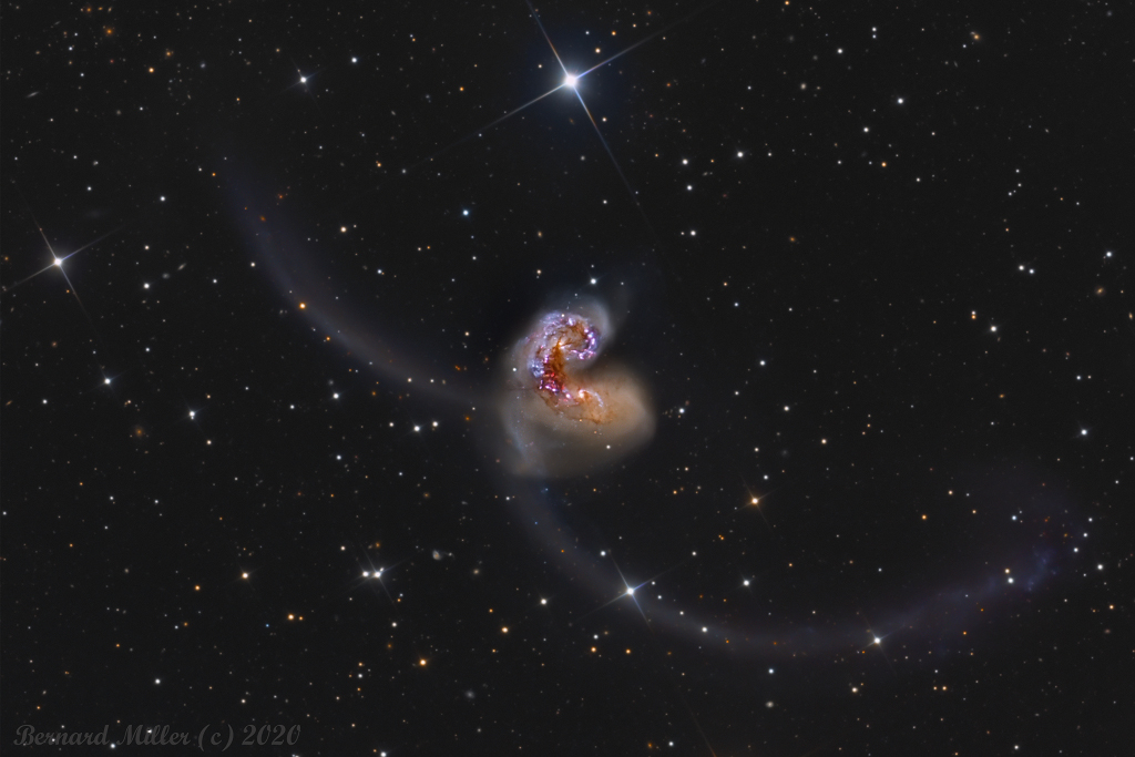 Im südlichen Sternbild Rabe kollidieren zwei Galaxien, die als NGC 4038 und NGC 4039 katalogisiert sind.