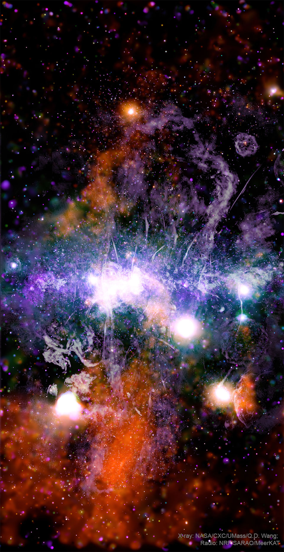 Dieses detailreiche Panorama von Chandra und MeerKAT zeigt das galaktische Zentrum mit zahlreichen, komplexen Wechselwirkungen.