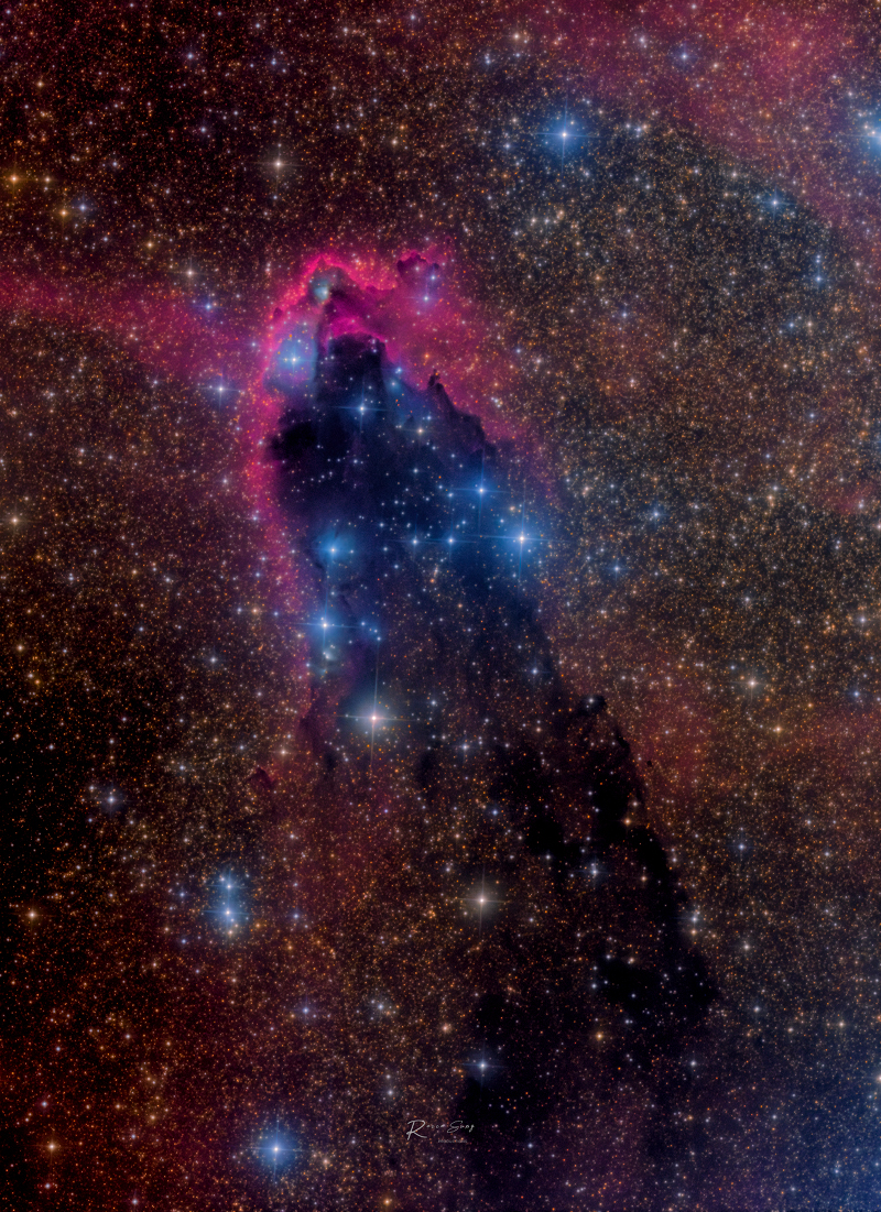 Der dunkle Turm NGC 6231 liegt 5000 Lichtjahre entfernt im Sternbild Skorpion.