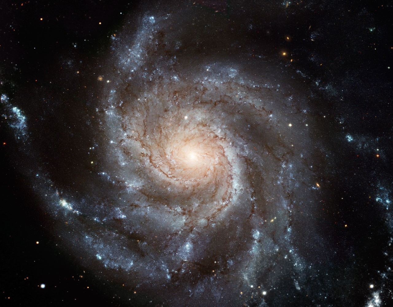 Die Spiralgalaxie M101 oder Feuerradgalaxie liegt im Sternbild Ursa Major.