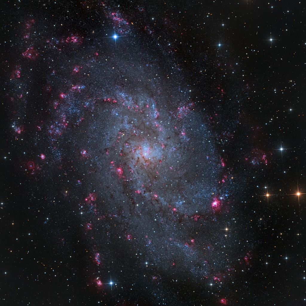 Die Spiralgalaxie M33 im Sternbild Dreieck ist die drittgrößte Gaöaxie der Lokalen Gruppe.