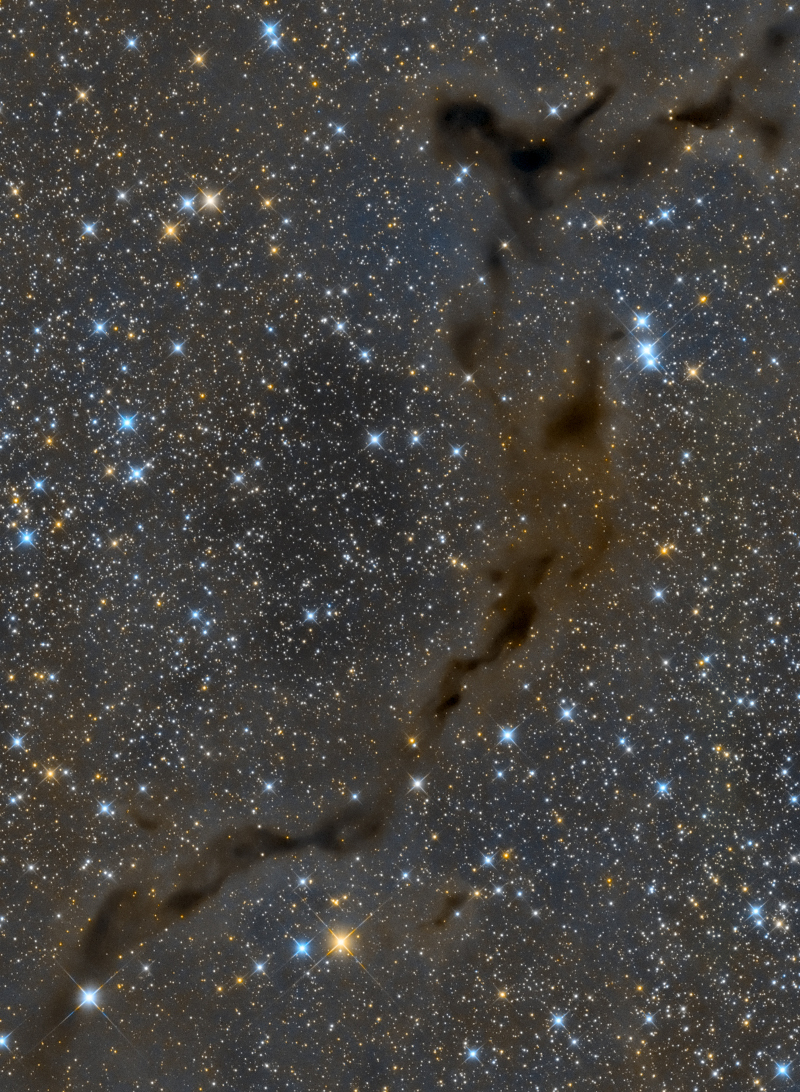 Barnard 150 im Sternbild Kepheus ist auch als Seepferdchennebel bekannt.