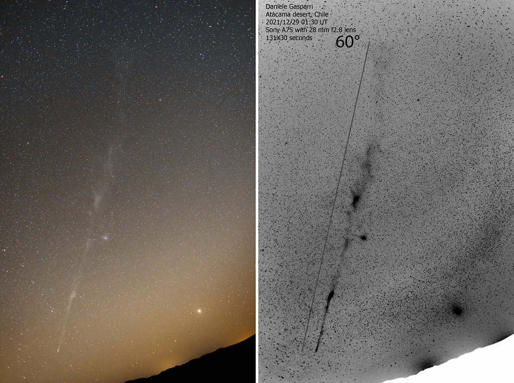 Der 60 Grad lange Schweif des Kometen Leonard im Sternbild Mikroskop.