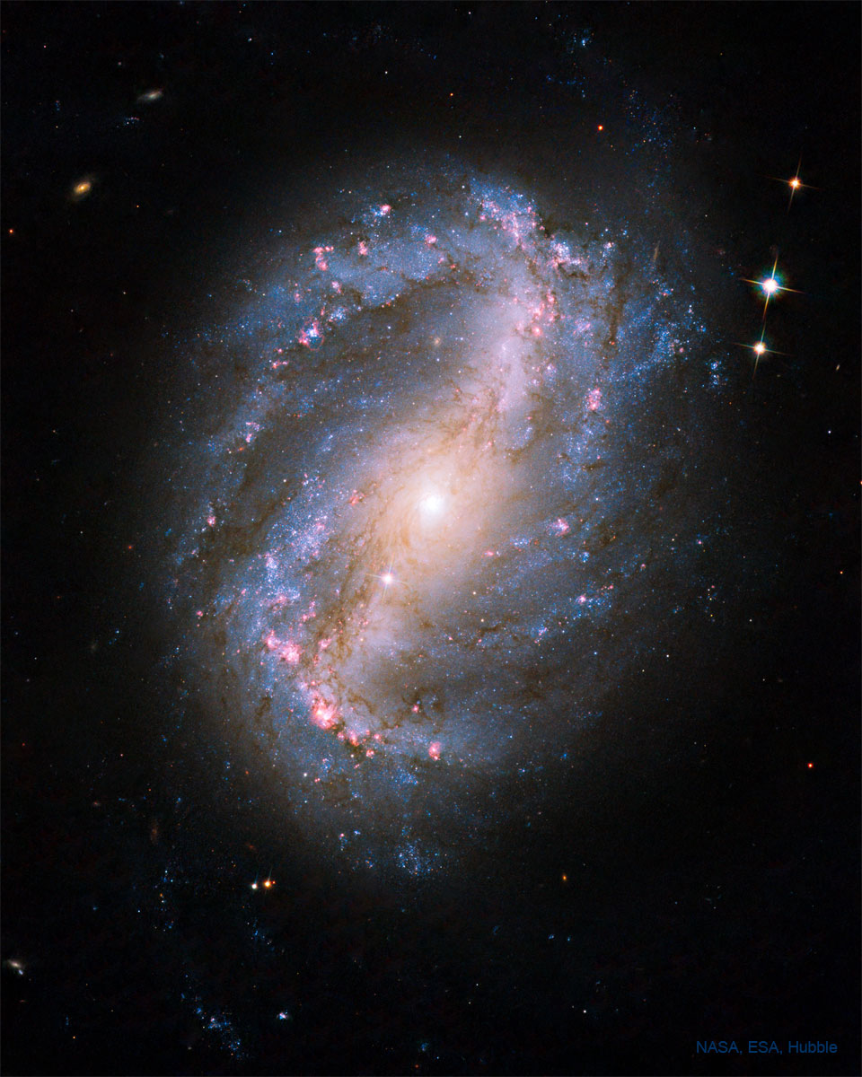 Die Balkenspiralgalaxie NGC 6217 im Sternbild Kleiner Bär.