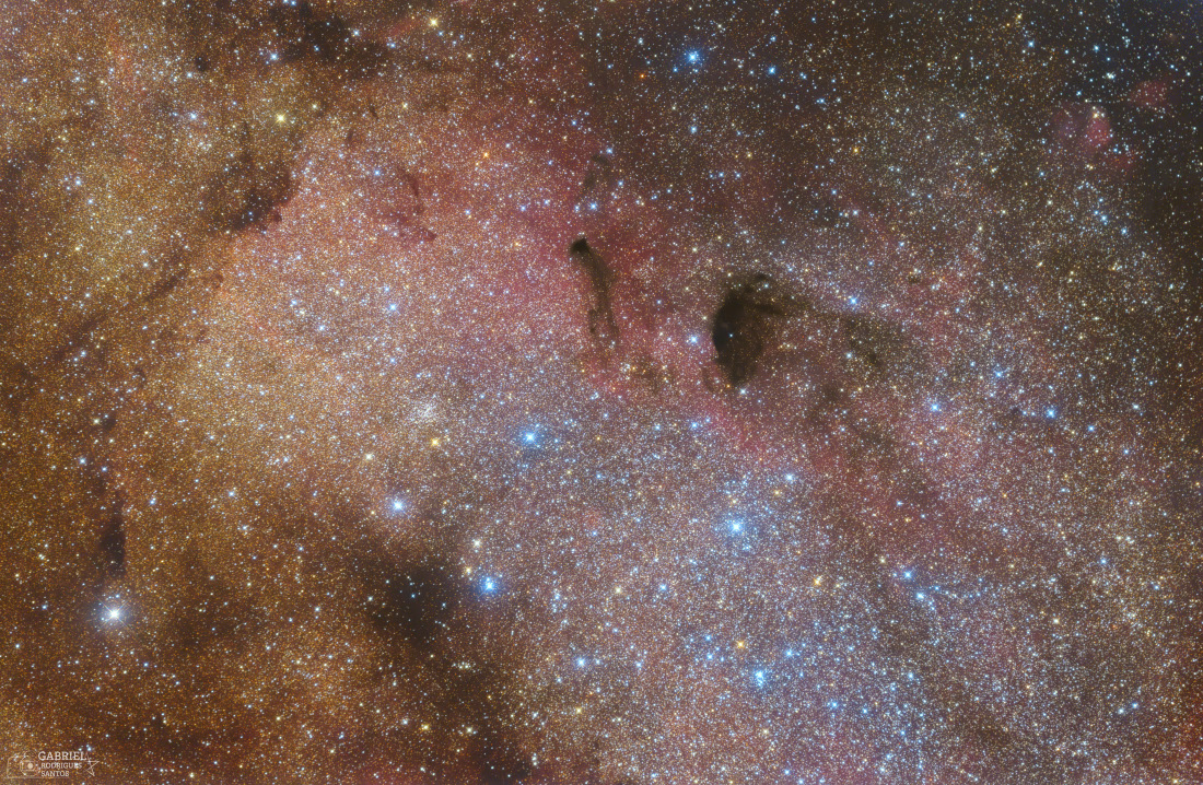 Die Sternenwolke M24 im Sternbild Schütze.