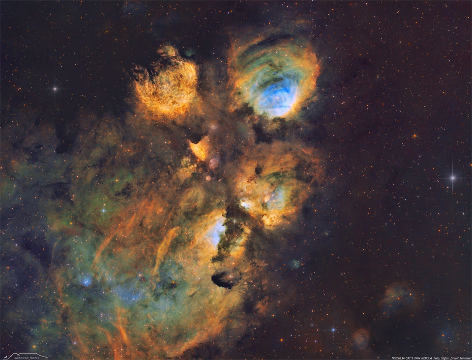 Der Katzenpfotennebel NGC 6334 im Sternbild Skorpion