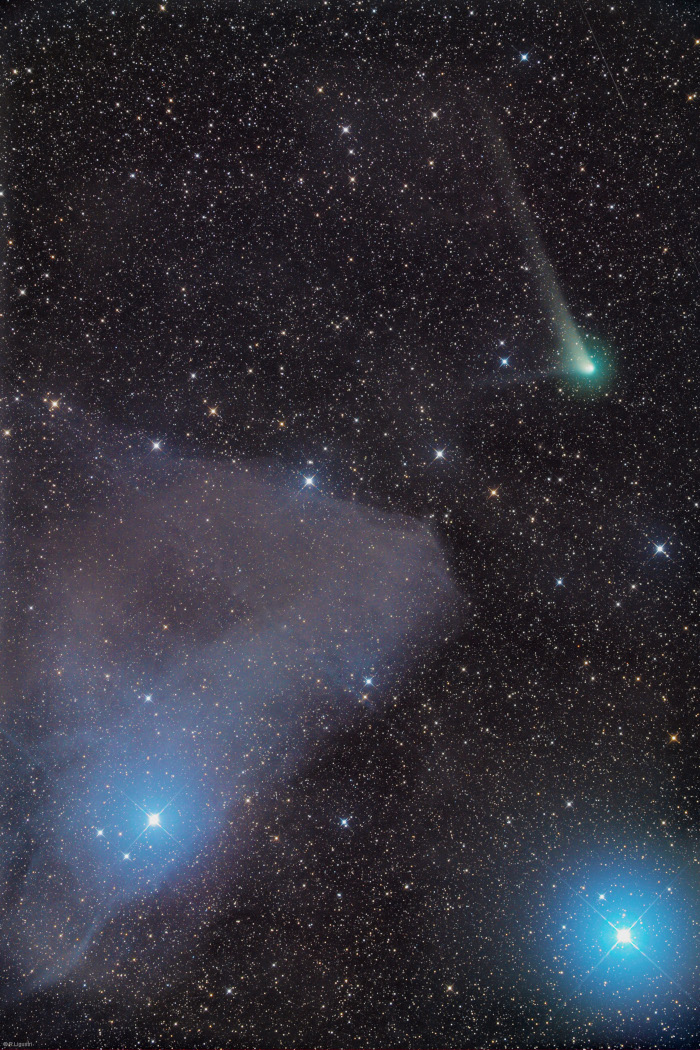 Das Bild zeigt den Kometen Komet C/2017 K2 (PanSTARRS) auf dem Weg zu seiner Begegnung mit der Sonne. Sein Schweif und seine Koma leuchten grünlich und sind bereits relativ hell.