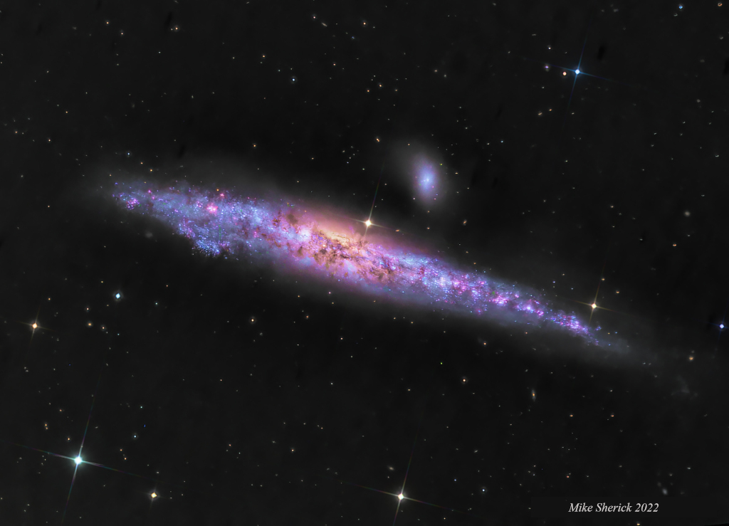 Die große, von der Seite sichtbare Spiralgalaxie NGC 4631 im Sternbild Jagdhunde erinnert manche an einen Wal oder einen Hering.
