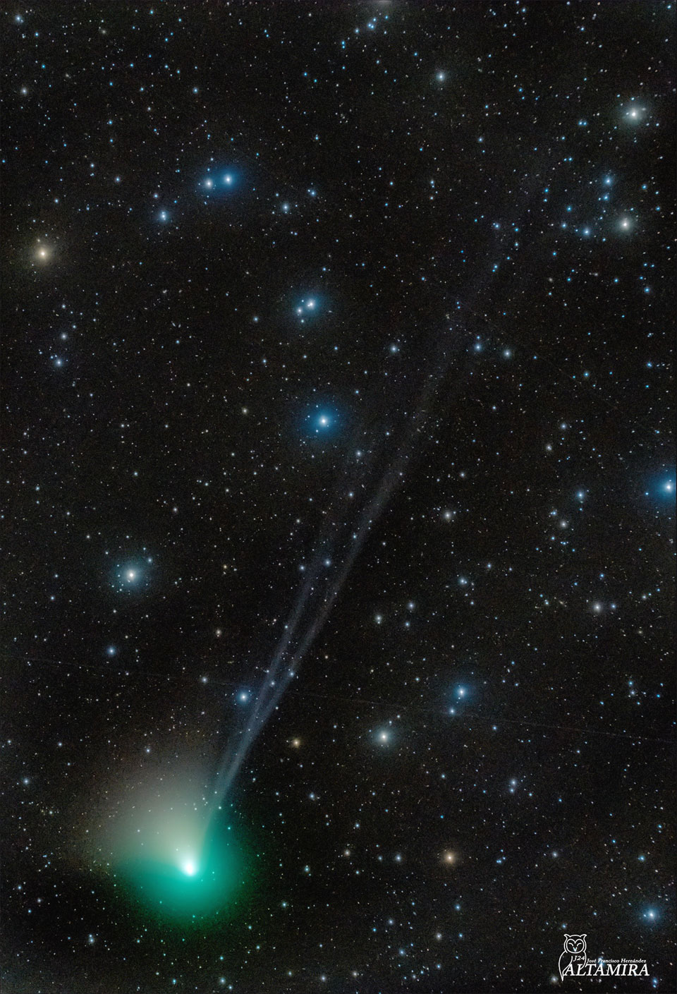 Schweife und Koma des Kometen ZTF; Details im Text