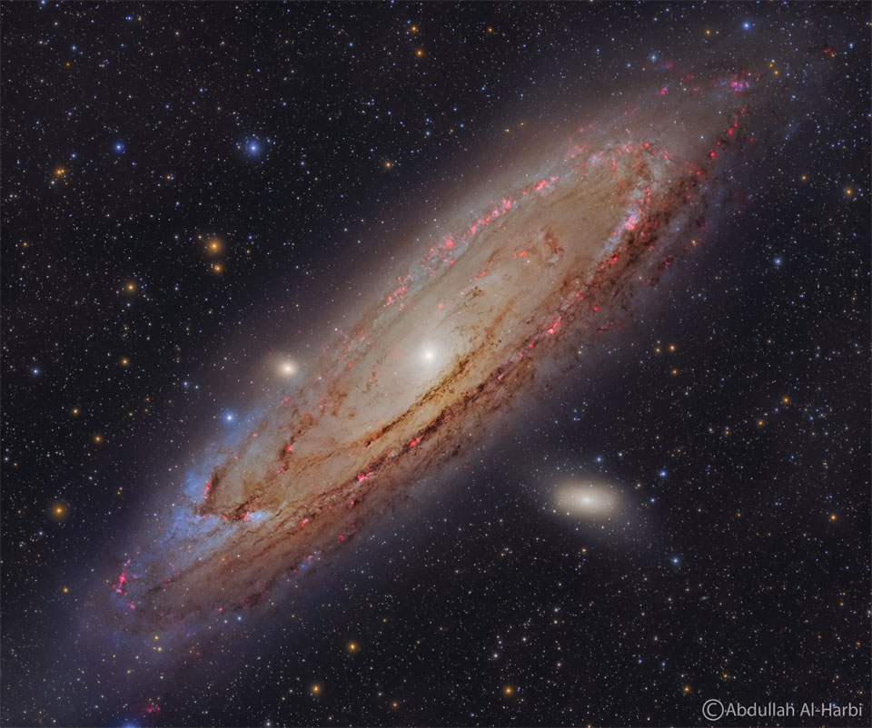 Die große Andromeda-Galaxie verläuft diagonal durchs Bild, sie ist schräg von der Seite zu sehen, auf der Scheibe verlaufen dunkle Staubbahnen, in denen viele rote Sternbildungsregionen zu sehen sind. Das Zentrum der Scheibe ist heller als der Rest. Rechts unter der Scheibe ist eine kleine Begleitgalaxie zu sehen.