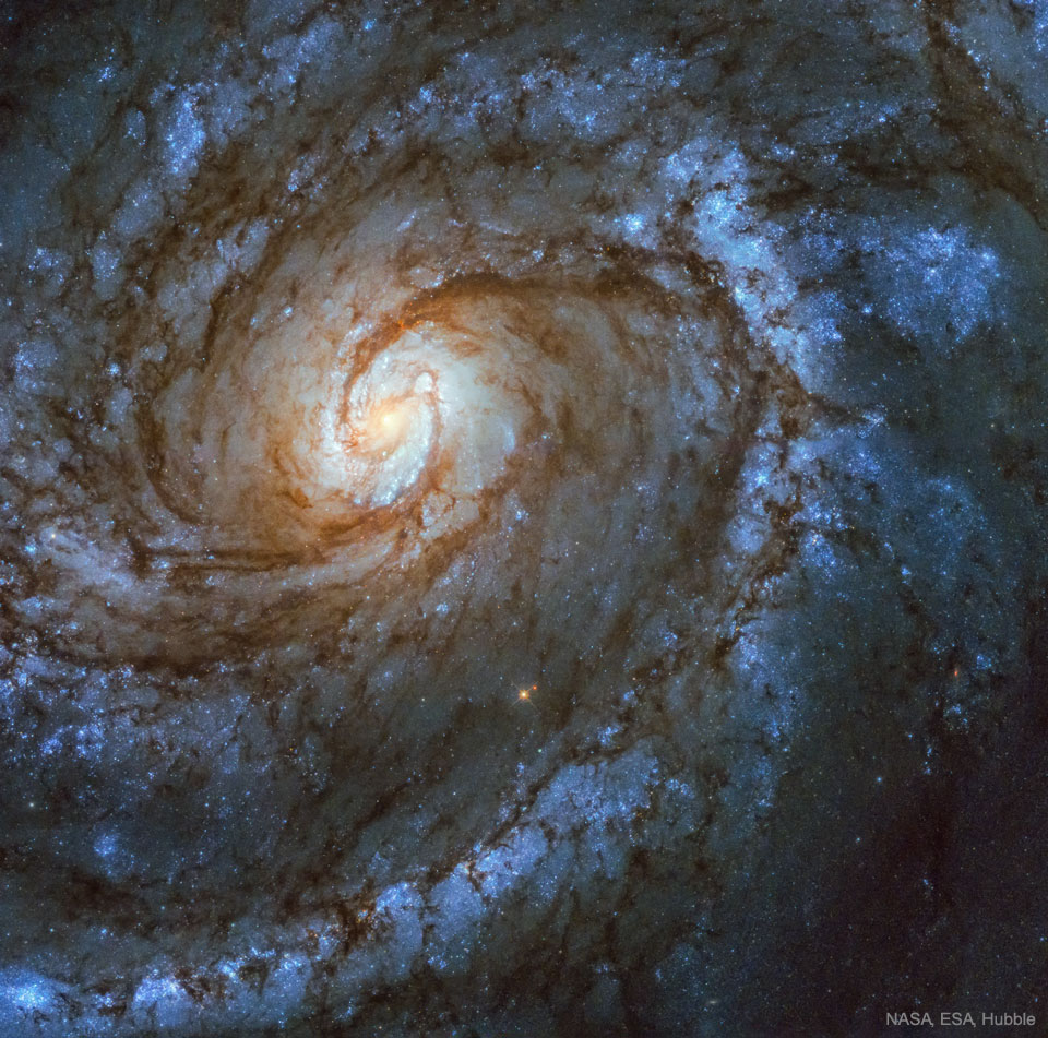 Das Bild zeigt einen Ausschnitt einer Spiralgalaxie. Im linken oberen Drittel leuchtet ein gelblicher Kern, von dem dunkle Staubbahnen und Spiralarme ausgehen, die Spiralarme wirken wolkig und leuchten blau.