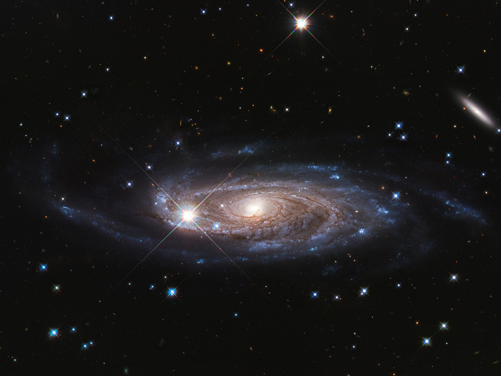 Die Galaxie in der Bildmitte ist schräg von oben zu sehen, sie ist von einigen Sternen umgeben, einige Spiralarme sind herausgezogen. Die Galaxie wirkt stark verzerrt.