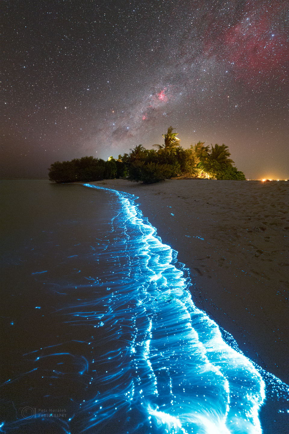 Das Bild zeigt eine Küstenlinie mit blau leuchtendem Plankton. In der Ferne stehen Bäume. Darüber befindet sich ein Sternenhimmel mit roten Nebeln und dem zentralen Band unserer Milchstraßengalaxie.
