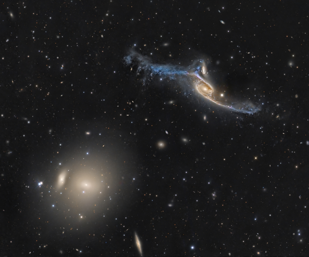Rechts über der Mitte befindet sich die riesige Kondorgalaxie NGC 6872 mit ihren ausgebreiteten Spiralarmen. Links unten leuchtet die markanteste Galaxie des Pavo-Galaxienhaufens, eine elliptische Galaxie.