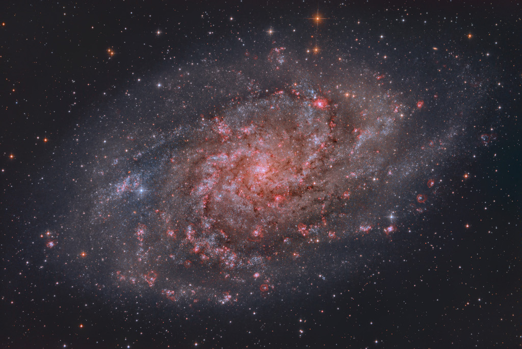 Die Galaxie M33 ist schräg von oben zu sehen, sie hat eine ausgeprägte Spiralstruktur mit rötlichen Sternbildungsregionen.