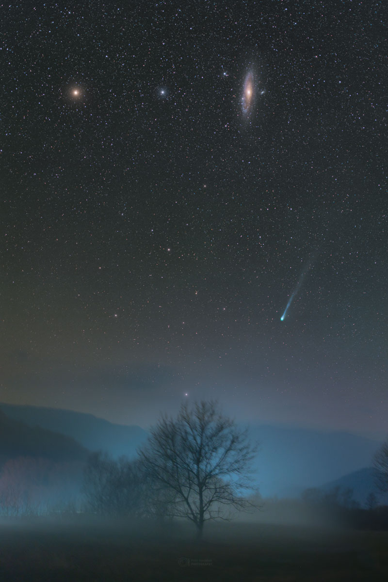 In einer nebeligen Nachtlandschaft mit Bergen steht unten ein Baum, darüber stehen am sternklaren Himmel ein Komet und die Andromedagalaxie.