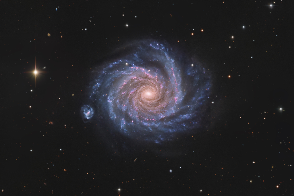 Mitten im Bild schwegt eine Spiralgalaxie mit mächtigen, ausgeprägten Armen. Wir sehen sie direkt von oben. Links ist eine winzige zweite Galaxie mit einem breiten Balken, sie ist eine Begleitgalaxie der großen Spirale.