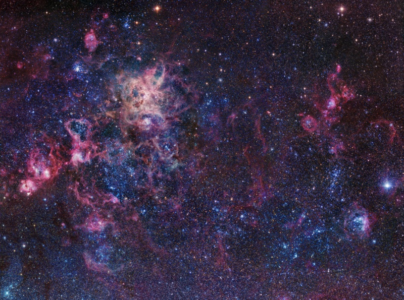 Im Bild sind faserförmige rosarote und violette Nebelfasern verteilt, darum leuchten großteils schwache Sterne.