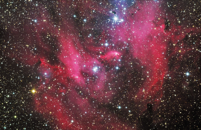 Der Nebel IC 2958 mit dem Sternhaufen Collinder 249 (auch IC2944) leuchtet rötlich, seine Form erinnert an ein laufendes Huhn.