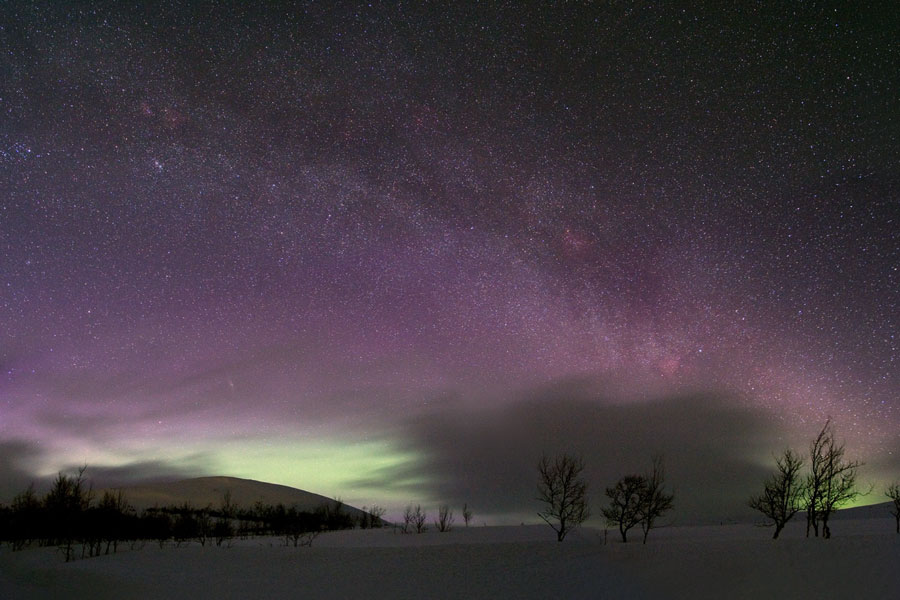 Das Bild zeigt Bäume und Berge vor einem violetten Himmel mit Milchstraße, über dem Horizont leuchten grünliche Polarlichter. Beschreibung im Text.
