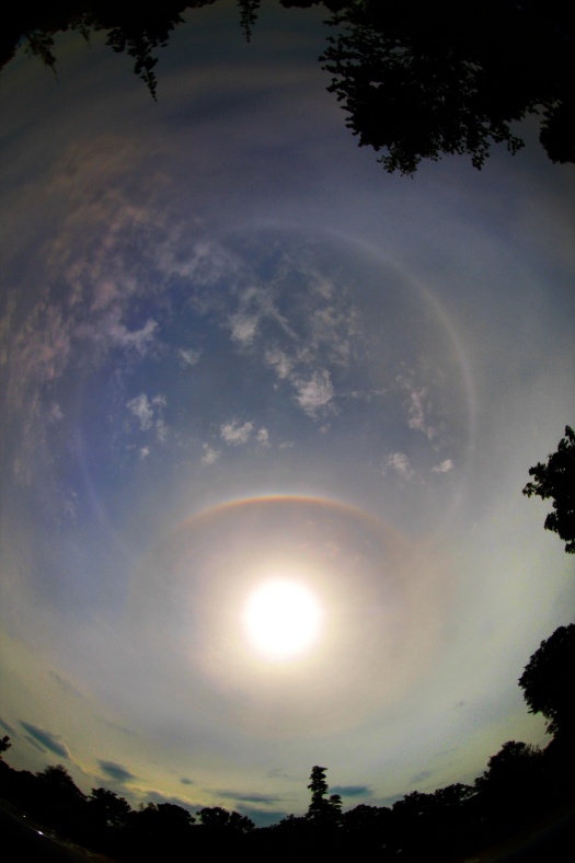 Das Fischaugenbild zeigt kreisförmige Sonnenhalos, die durch Reflexion in Eiskristallen entstehen.