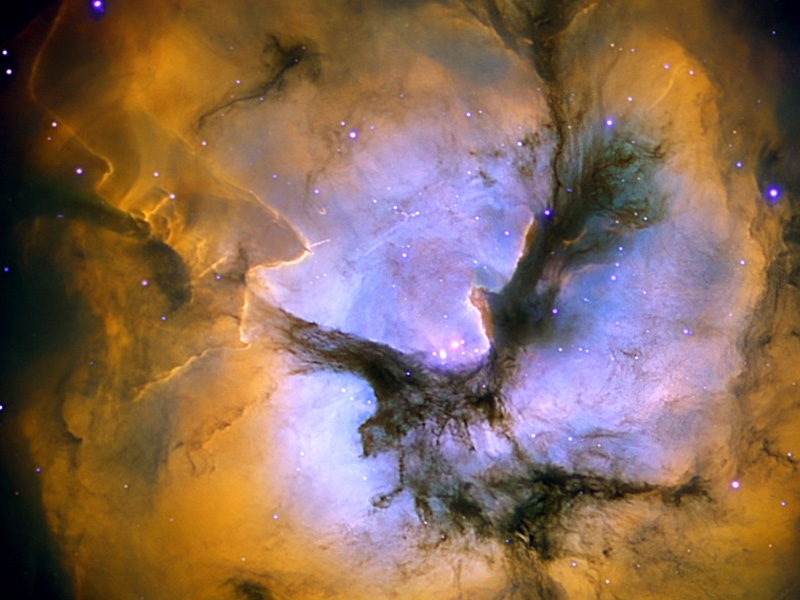 Der Trifidnebel füllt das ganze Bild. Sein Zentrum ist von breiten, dunklen Staubbahnen dreigeteilt. Hier leuchtet die Mitte des Nebels blauviolett und ist von orangeroten Nebelwolken umgeben.