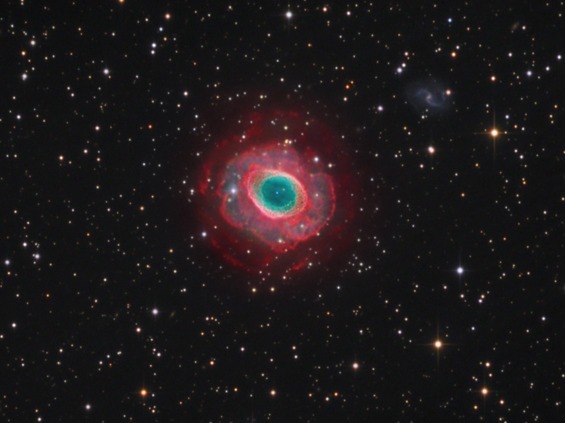 Mitten in einem sterngefüllten Feld leuchtet ein ringförmiger Nebel mit rötlichen, blumenförmigen Ausläufern außen rundherum.