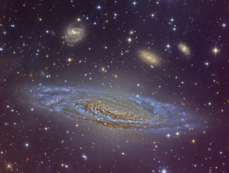 Im Vordergrund ist eine relativ dunkle, bläuliche Spiralgalaxie mit Verwerfungen, darüber sind weitere kleine Spiralgalaxien.