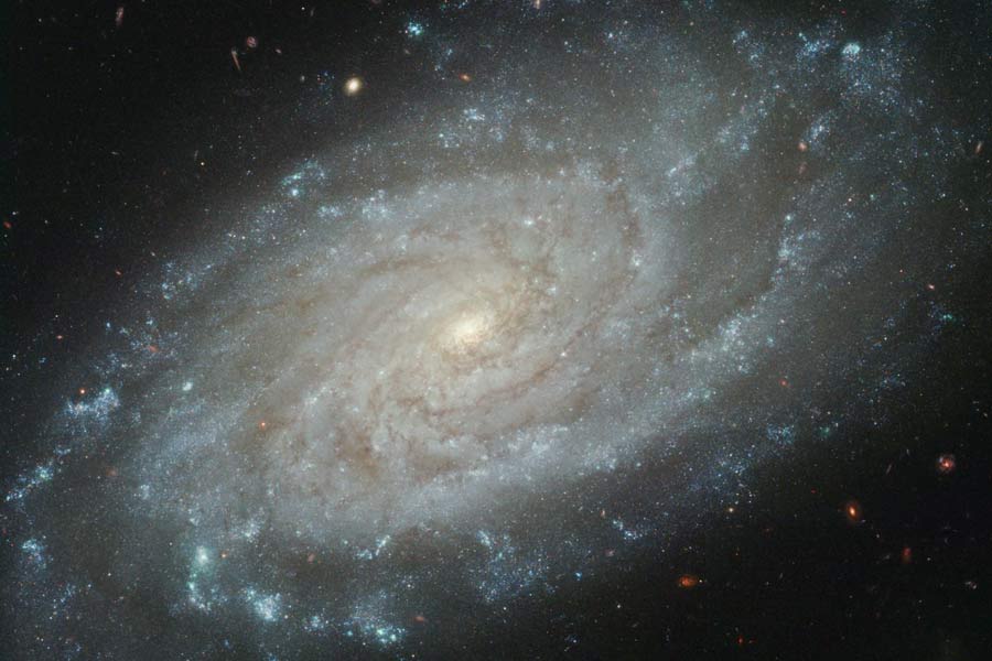 Eine wolkig wirkende Spiralgalaxie ist leicht geneigt schräg von oben zu sehen, um einen hellen kleinen Kern sind dichte Spiralarme gewunden.