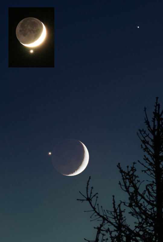 Vor einem sternklaren Abendhimmel leuchtet unten links neben dem Sichelmond der Planet Venus, oben steht Jupiter. Rechts unten ist die Silhouette eines Baums. Links oben ist der Sichelmond mit dem Planeten Venus unter der Sichel.