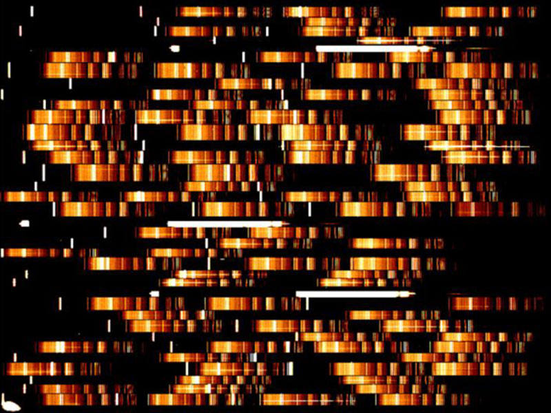 Im Bild sind Spektren von weit entfernten Universum zeilenweise angeordnet.