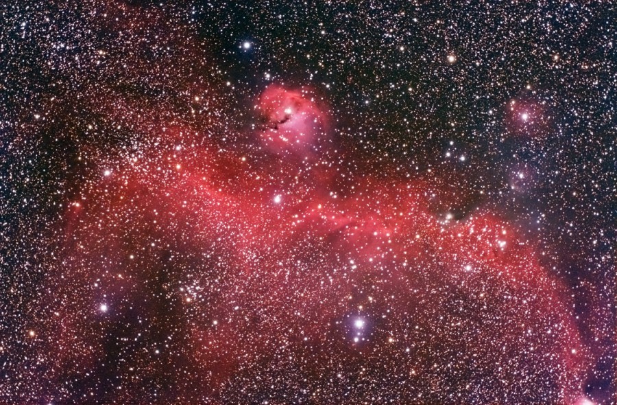 In einem sternengefüllten Bild leuchtet ein roter Nebel, dessen Form an eine Möwe erinnert.