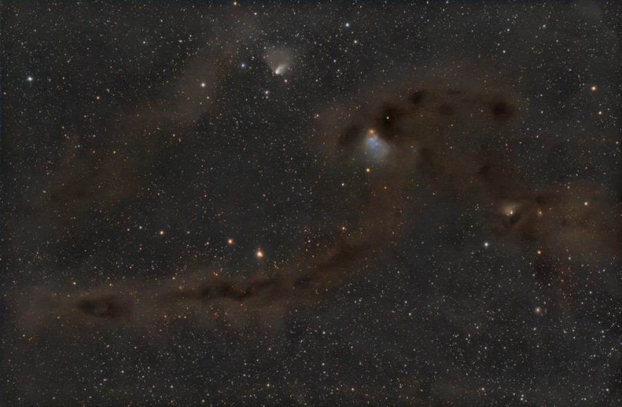 Das Bild zeigt einige kleine trichterförmige Nebel, zwei davon sind etwas größer. Vor den Sternen im Hintergrund windet sich der dunkle Nebel Barnard 7.