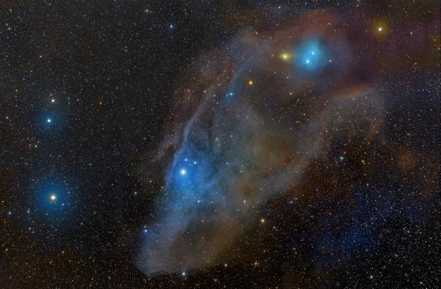 Die Form dieses blauen Reflexionsnebels mit einigen hellen Sternen erinnert an einen Pferdekopf.