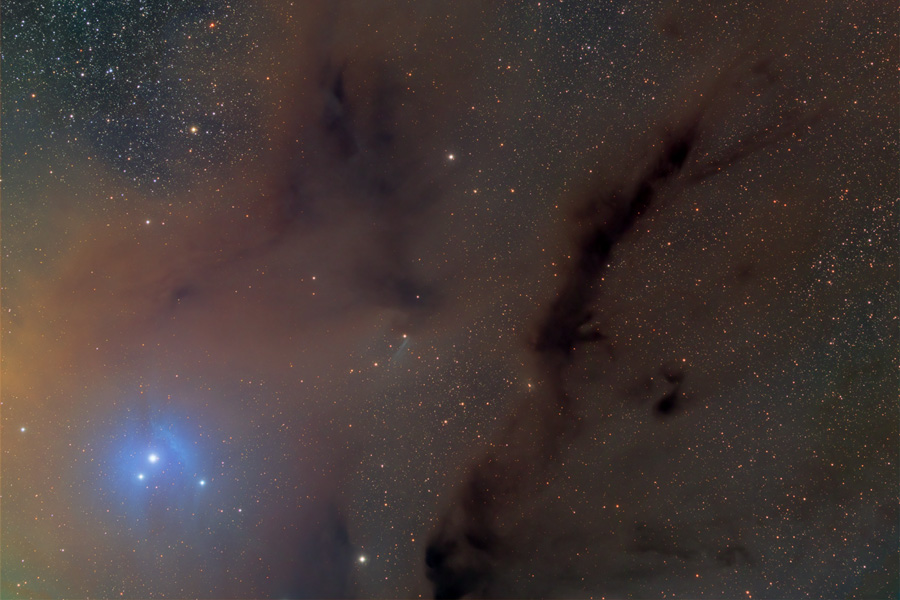 Die Sterne im Hintergrund sind großteils von bräunlichen bis dunklen Nebeln verdeckt, links unten leuchtet ein blauer Nebel um drei Sterne.