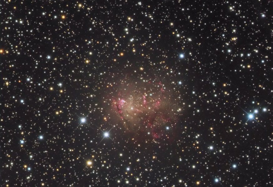 IC 10 ist eine irreguläre Zwerggalaxie mit rötlichen Sternbildungsregionen in einem Feld voller Sterne.