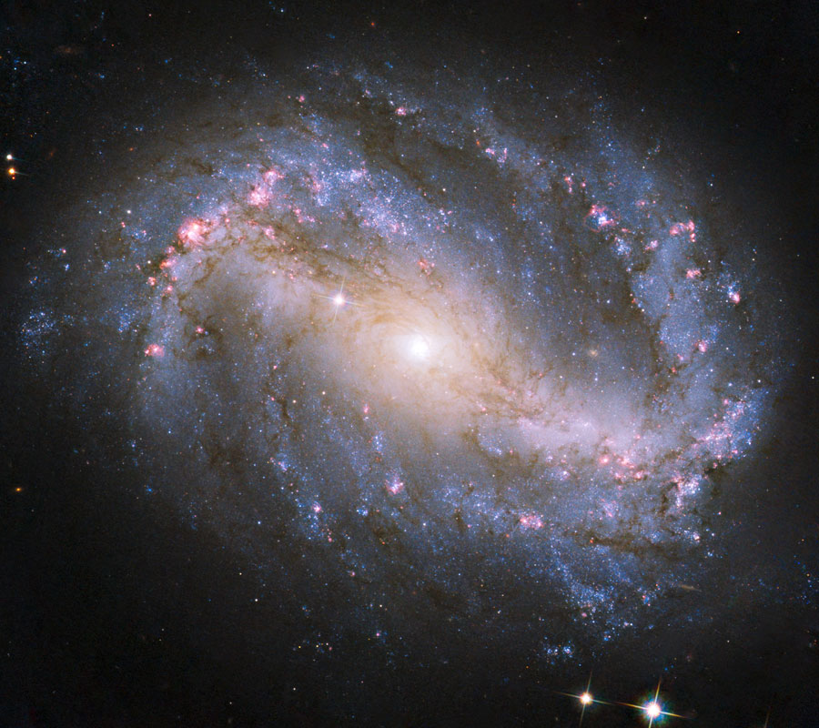 Die bildfüllend dargestellte Spiralgalaxie hat in der Mitte einen Balken weist einige rosarote Sternbildungsregionen