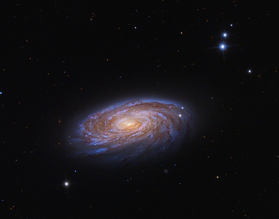 Vor einem schwarzen Hintergrund schwebt eine Spiralgalaxie mit eng gewundenen Spiralarmen, die von schräg oben zu sehen ist. Rechts oben leuchten ein paar Sterne, ebenso links unten.