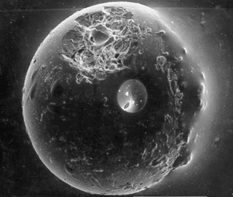 Die Kugel im Bild ist an vielen Stellen beschädigt, nach rechts verläuft sie undefiniert. Das Schwarz-Weiß-Bild wurde mit einem Elektronenmikroskop aufgenommen.