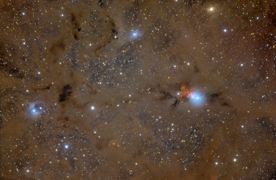 Vor einem gestirnten Hintergrund sind braune, teils dunkle Staubwolken verteilt. Darin sind in der Nähe von Sternen einige blau leuchtende Reflexionsnebel verteilt.